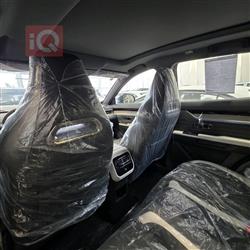 جيتور داشينج